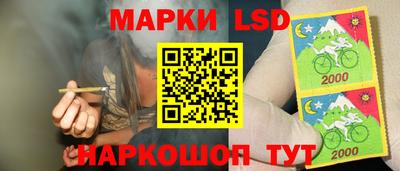 гашик Жуковский