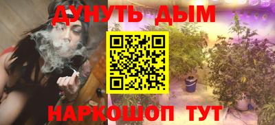 гашик Жуковский