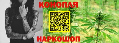 гашик Жуковский