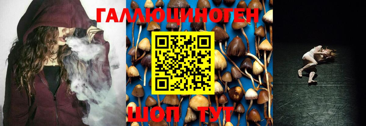 Галлюциногенные грибы Psilocybe  Галлюциногенные грибы Cubensis  Вход с VPN  Луховицы 